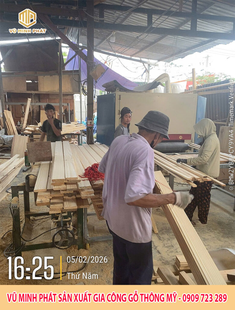 Vũ Minh Phát nhập khẩu - sản xuất - gia công gỗ thông Mỹ