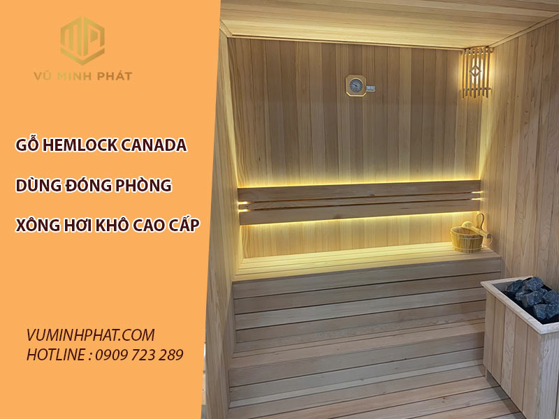 Gỗ hemlock canada đóng phòng xông hơi cao cấp