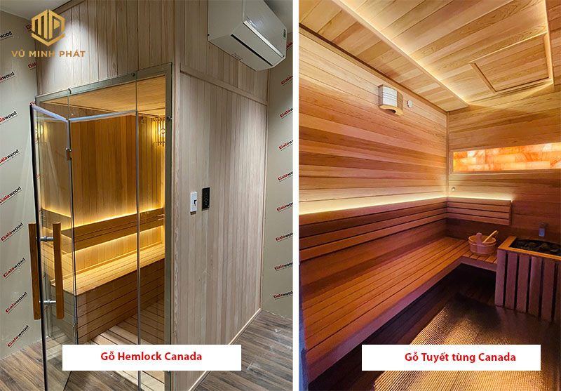Gỗ Hemlock Canada & Gỗ Tuyết tùng Canada 2 loại gỗ cao cấp được ưa chuộng nhất